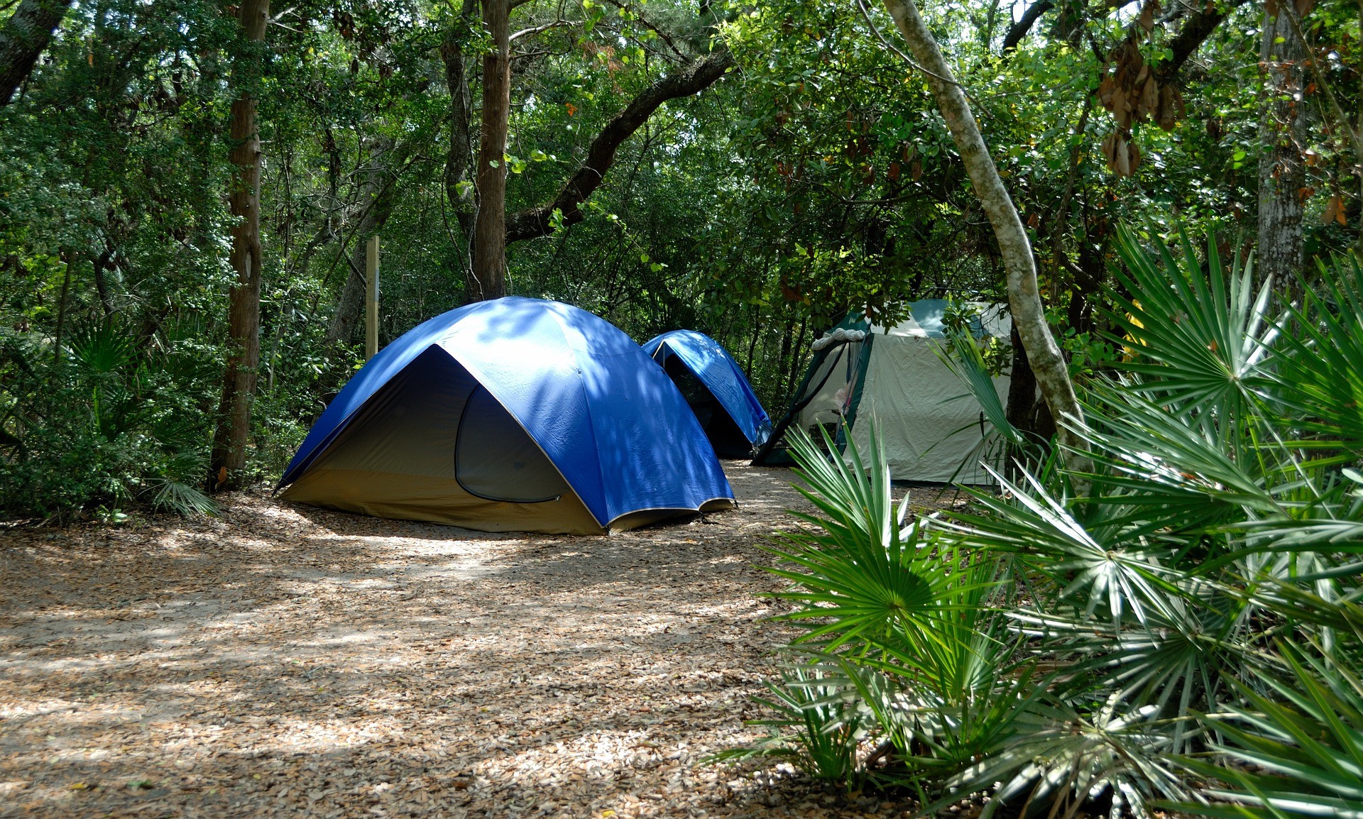 Camping dans le Lot